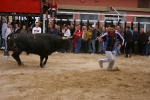 Xilxes toros domingo