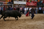 Xilxes toros domingo