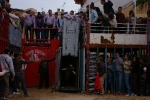 Xilxes toros domingo