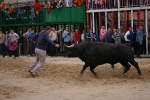 Xilxes toros domingo