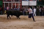 Xilxes toros domingo