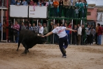 Xilxes toros domingo