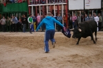 Xilxes toros domingo