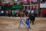 Xilxes toros domingo