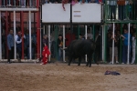 Xilxes toros domingo