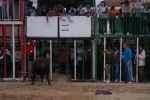 Xilxes toros domingo
