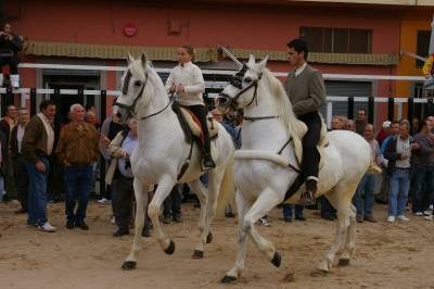 Fotografia /Gallery/4206_2464/3_M1.jpg