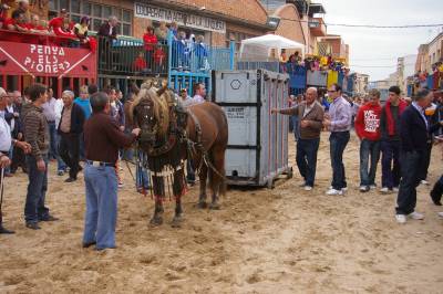 Fotografia /Gallery/4206_2464/5_M1.jpg