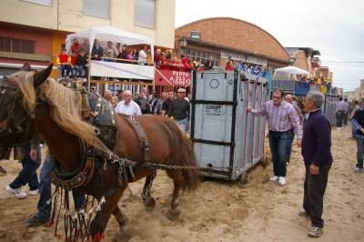 Fotografia /Gallery/4206_2464/6_M1.jpg