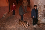 Hoguera y bendiciones por Sant Antoni en Alfondeguilla