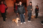 Hoguera y bendiciones por Sant Antoni en Alfondeguilla