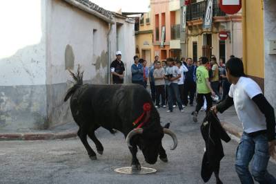 Fotografia /Gallery/4279_2501/2_M1.jpg