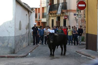 Fotografia /Gallery/4279_2501/3_M1.jpg