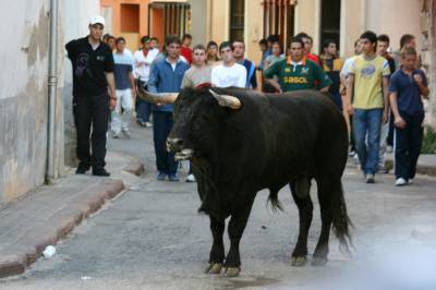 Fotografia /Gallery/4279_2501/4_M1.jpg