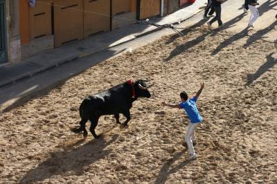 Fotografia /Gallery/4279_2501/5_M1.jpg