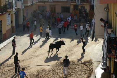 Fotografia /Gallery/4279_2501/6_M1.jpg