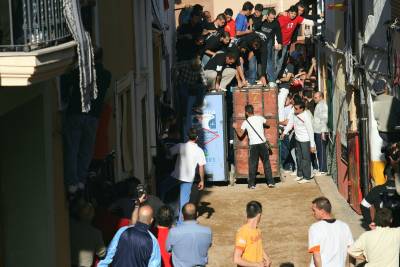 Fotografia /Gallery/4287_2511/5_M1.jpg