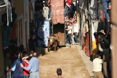 Fotografia /Gallery/4287_2511/6_M1.jpg