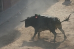 Los actos taurinos del sábado seis de las fiestas de Sant Vicent de La Vall dos heridos más.