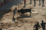Los actos taurinos del sábado seis de las fiestas de Sant Vicent de La Vall dos heridos más.