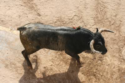 Fotografia /Gallery/4359_2538/6_M1.jpg