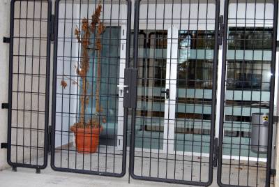 Fotografia /Gallery/43931_23719/4_M1.jpg