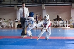 Mas de 200 nios en los Juegos Deportivos de Taekwondo 2011 - 2 Fase en l?Alcora