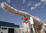Fotografia /Gallery/45029_24182/10_M1.jpg