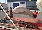 Fotografia /Gallery/45029_24182/4_M1.jpg