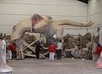 Fotografia /Gallery/45029_24182/6_M1.jpg