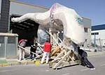 Fotografia /Gallery/45029_24182/7_M1.jpg