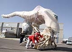 Fotografia /Gallery/45029_24182/8_M1.jpg