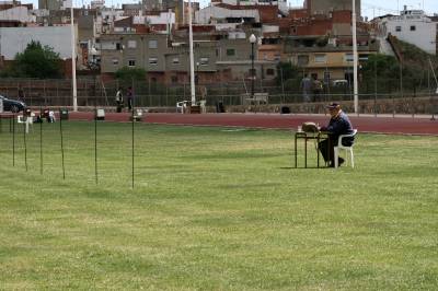Las pistas de atletismo de la Vall d?Uixó acogen un concurso de Ornitología.