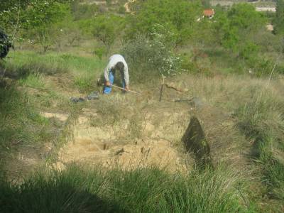 Fotografia /Gallery/4772_2771/3_M1.jpg