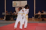 Alta participaciin en el Trofeo de Judo Sant Pasqual 2011