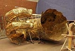 Fotografia /Gallery/48658_25881/6_M1.jpg