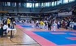 Numerosas Medallas del Club Deportivo Granjo de L\'Alcora en la Copa Internacional de Andorra de Taekwondo