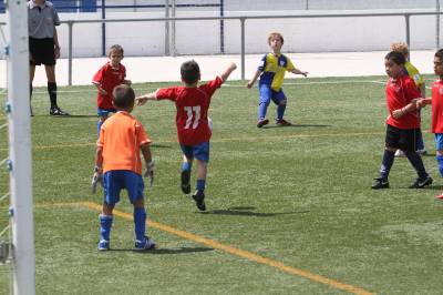 Fotografia /Gallery/50855_26979/3_M1.jpg