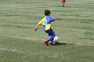 Fotografia /Gallery/50855_26979/4_M1.jpg