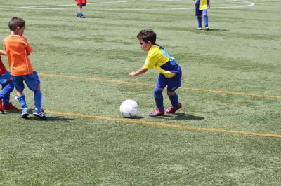 Fotografia /Gallery/50855_26979/5_M1.jpg