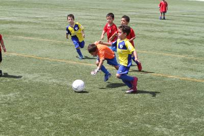 Fotografia /Gallery/50855_26979/6_M1.jpg