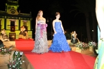 Presentacio Alqueries