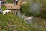 Fotografia /Gallery/5091_2926/10_M1.jpg
