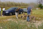 Los perros toman el Racó del Pou