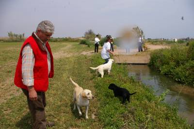 Fotografia /Gallery/5091_2926/2_M1.jpg