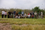 Los perros toman el Racó del Pou
