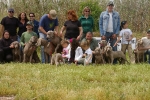 Los perros toman el Racó del Pou