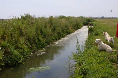 Fotografia /Gallery/5091_2926/5_M1.jpg