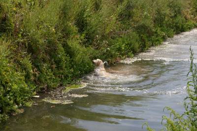 Fotografia /Gallery/5091_2926/6_M1.jpg