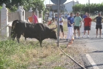 Santa Bárbara vibra con el \'bou en corda\'